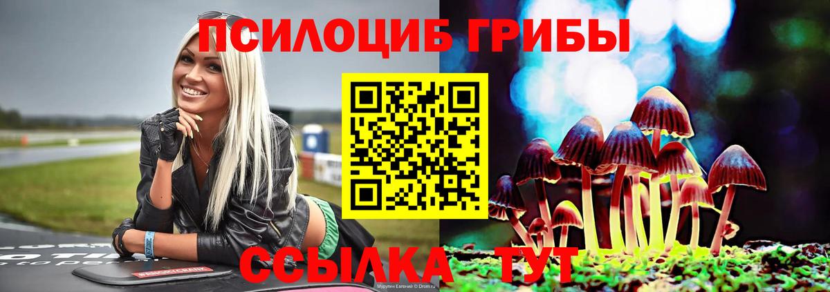 Галлюциногенные грибы Magic Shrooms  Вход с VPN  Новокубанск 